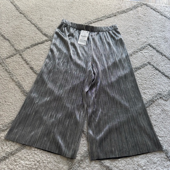 Zara Pants - Zara metallic silver wide leg culotte pleated pull on pants large new